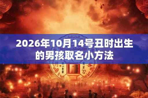 2026年10月14号丑时出生的男孩取名小方法