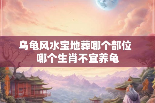 乌龟风水宝地葬哪个部位  哪个生肖不宜养龟