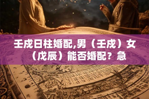 壬戍日柱婚配,男(壬戍)女(戊辰)能否婚配?急 壬戍日柱婚配,男(壬戍)女(戊辰)能否婚配?急