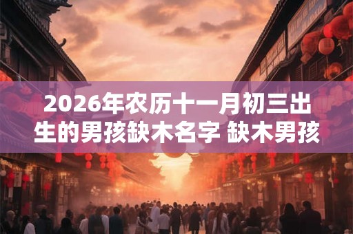 2026年农历十一月初三出生的男孩缺木名字 缺木男孩最吉利的名字