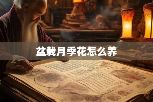 盆栽月季花怎么养