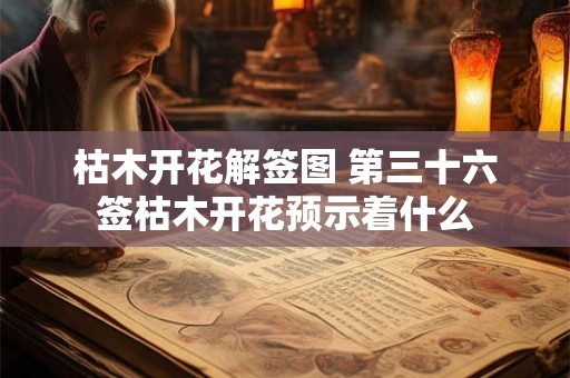 枯木开花解签图 第三十六签枯木开花预示着什么