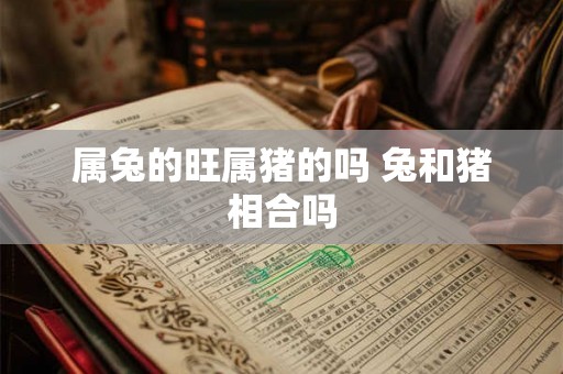 属兔的旺属猪的吗 兔和猪相合吗