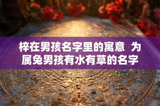梓在男孩名字里的寓意 为属兔男孩有水有草的名字 梓在男孩名字里的寓意 为属兔男孩有水有草的名字