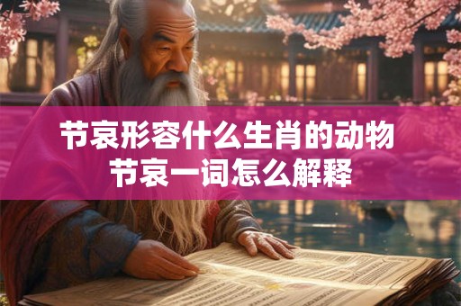 节哀形容什么生肖的动物 节哀一词怎么解释
