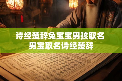 诗经楚辞兔宝宝男孩取名 男宝取名诗经楚辞