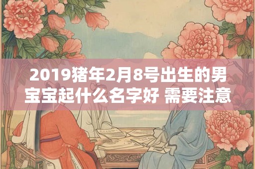 2019猪年2月8号出生的男宝宝起什么名字好 需要注意什么 2019猪年2月8号出生的男宝宝起什么名字好 需要注意什么