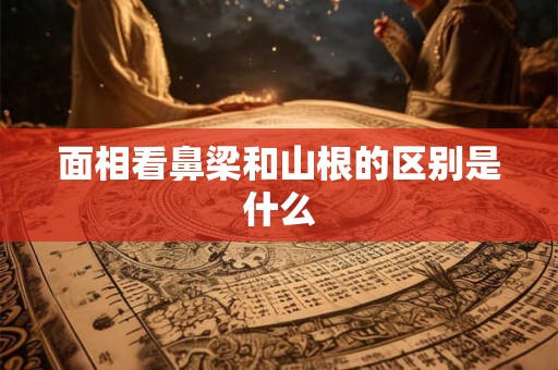 面相看鼻梁和山根的区别是什么