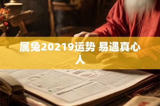 属兔20219运势 易遇真心人