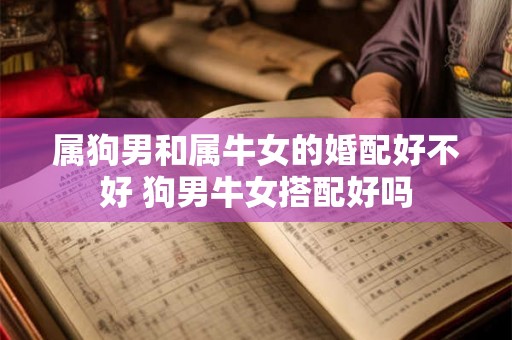 属狗男和属牛女的婚配好不好 狗男牛女搭配好吗