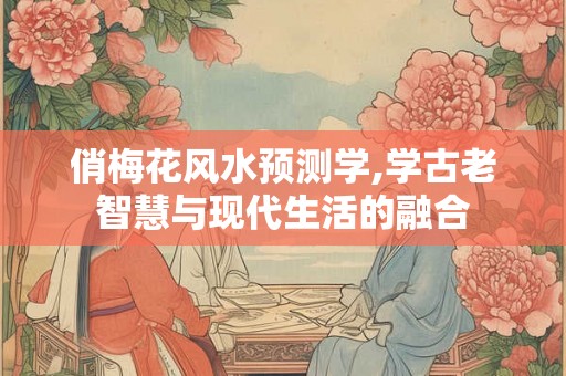 俏梅花风水预测学,学古老智慧与现代生活的融合 俏梅花风水预测学,学古老智慧与现代生活的融合