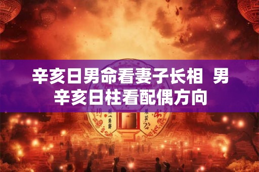 辛亥日男命看妻子长相  男辛亥日柱看配偶方向