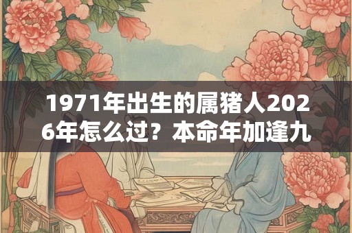 1971年出生的属猪人2026年怎么过？本命年加逢九年