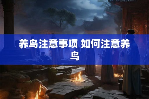 养鸟注意事项 如何注意养鸟