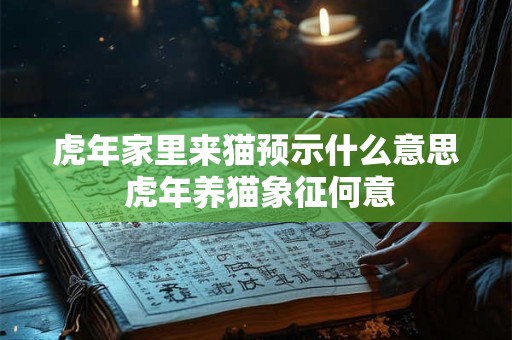 虎年家里来猫预示什么意思 虎年养猫象征何意