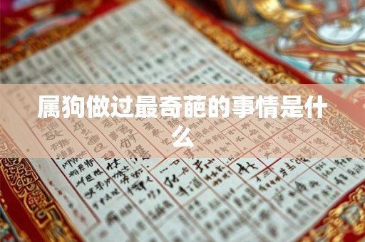 属狗做过最奇葩的事情是什么