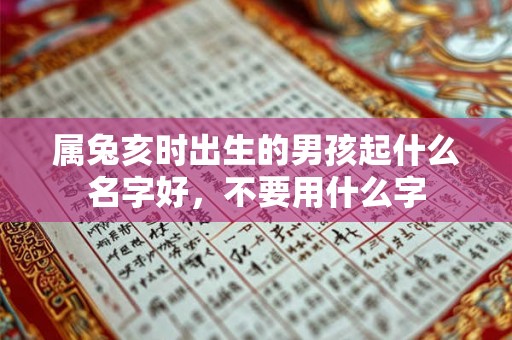 属兔亥时出生的男孩起什么名字好,不要用什么字 属兔亥时出生的男孩起什么名字好,不要用什么字