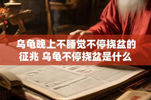 乌龟晚上不睡觉不停挠盆的征兆 乌龟不停挠盆是什么原因
