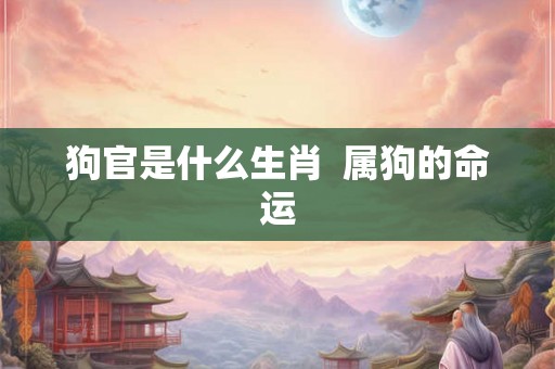 狗官是什么生肖  属狗的命运