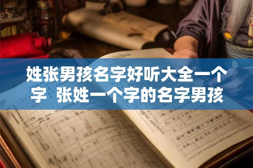 姓张男孩名字好听大全一个字  张姓一个字的名字男孩