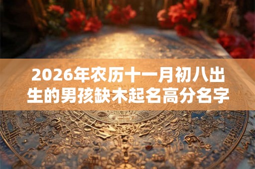 2026年农历十一月初八出生的男孩缺木起名高分名字大全