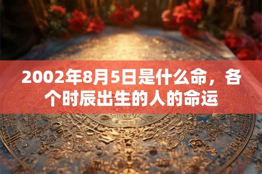 2002年8月5日是什么命,各个时辰出生的人的命运 2002年8月5日是什么命,各个时辰出生的人的命运