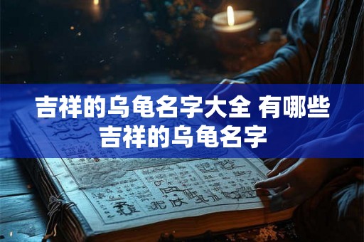 吉祥的乌龟名字大全 有哪些吉祥的乌龟名字