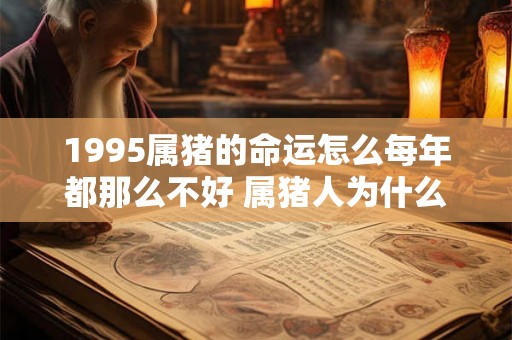 1995属猪的命运怎么每年都那么不好 属猪人为什么那么倒霉 1995属猪的命运怎么每年都那么不好 属猪人为什么那么倒霉