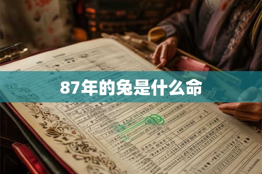 87年的兔是什么命 87年的兔是什么命