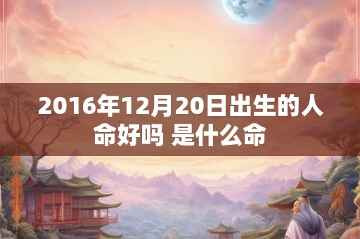 2016年12月20日出生的人命好吗 是什么命