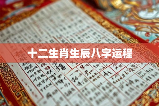 十二生肖生辰八字运程