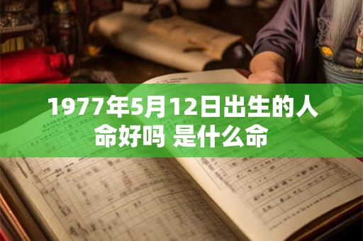 1977年5月12日出生的人命好吗 是什么命