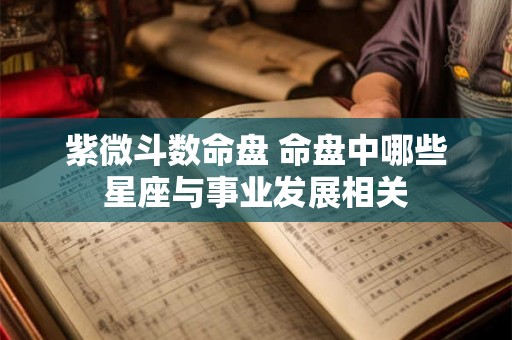 紫微斗数命盘 命盘中哪些星座与事业发展相关