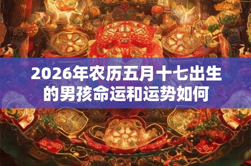 2026年农历五月十七出生的男孩命运和运势如何
