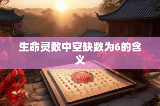 生命灵数中空缺数为6的含义