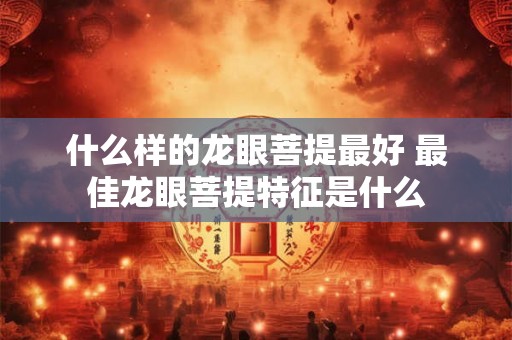什么样的龙眼菩提最好 最佳龙眼菩提特征是什么