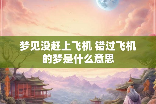 梦见没赶上飞机 错过飞机的梦是什么意思