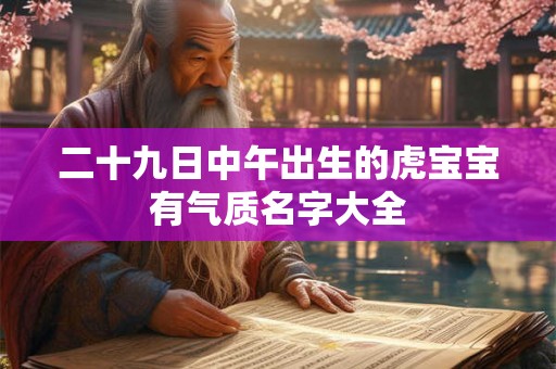二十九日中午出生的虎宝宝有气质名字大全