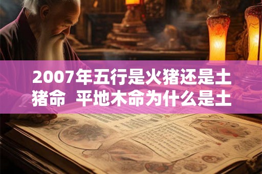 2007年五行是火猪还是土猪命  平地木命为什么是土猪