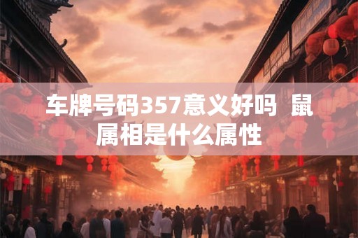 车牌号码357意义好吗  鼠属相是什么属性