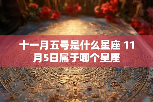 十一月五号是什么星座 11月5日属于哪个星座