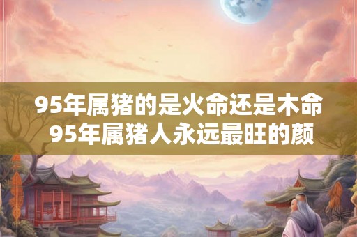 95年属猪的是火命还是木命 95年属猪人永远最旺的颜色 95年属猪的是火命还是木命 95年属猪人永远最旺的颜色