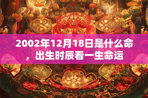 2002年12月18日是什么命，出生时辰看一生命运