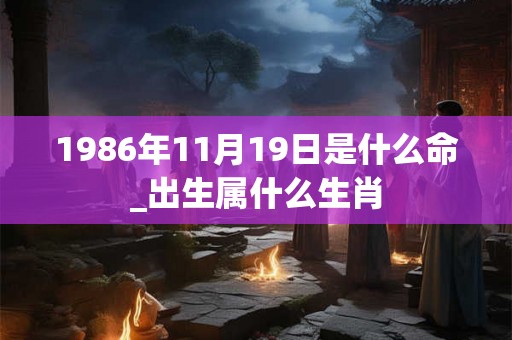 1986年11月19日是什么命_出生属什么生肖