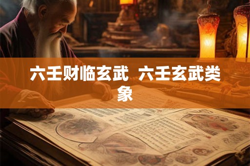 六壬财临玄武  六壬玄武类象
