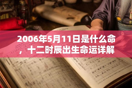 2006年5月11日是什么命，十二时辰出生命运详解