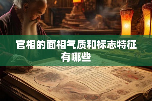 官相的面相气质和标志特征有哪些