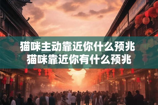 猫咪主动靠近你什么预兆 猫咪靠近你有什么预兆 猫咪主动靠近你什么预兆 猫咪靠近你有什么预兆