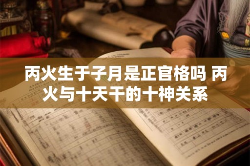丙火生于子月是正官格吗 丙火与十天干的十神关系