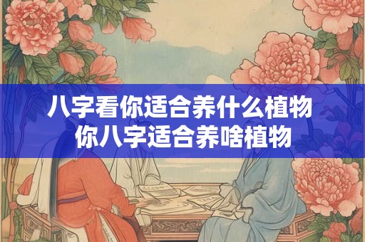八字看你适合养什么植物 你八字适合养啥植物 八字看你适合养什么植物 你八字适合养啥植物